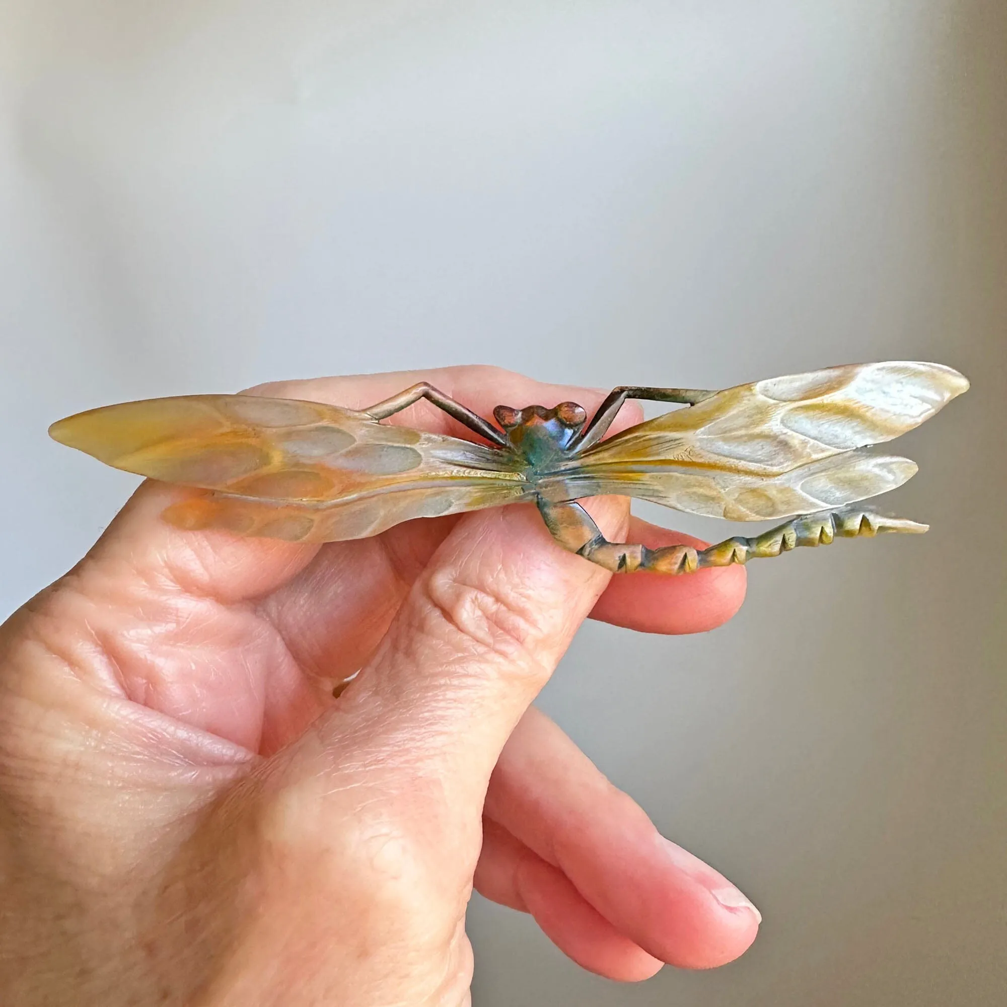 Antique Art Nouveau Carved Horn Dragonfly Brooch