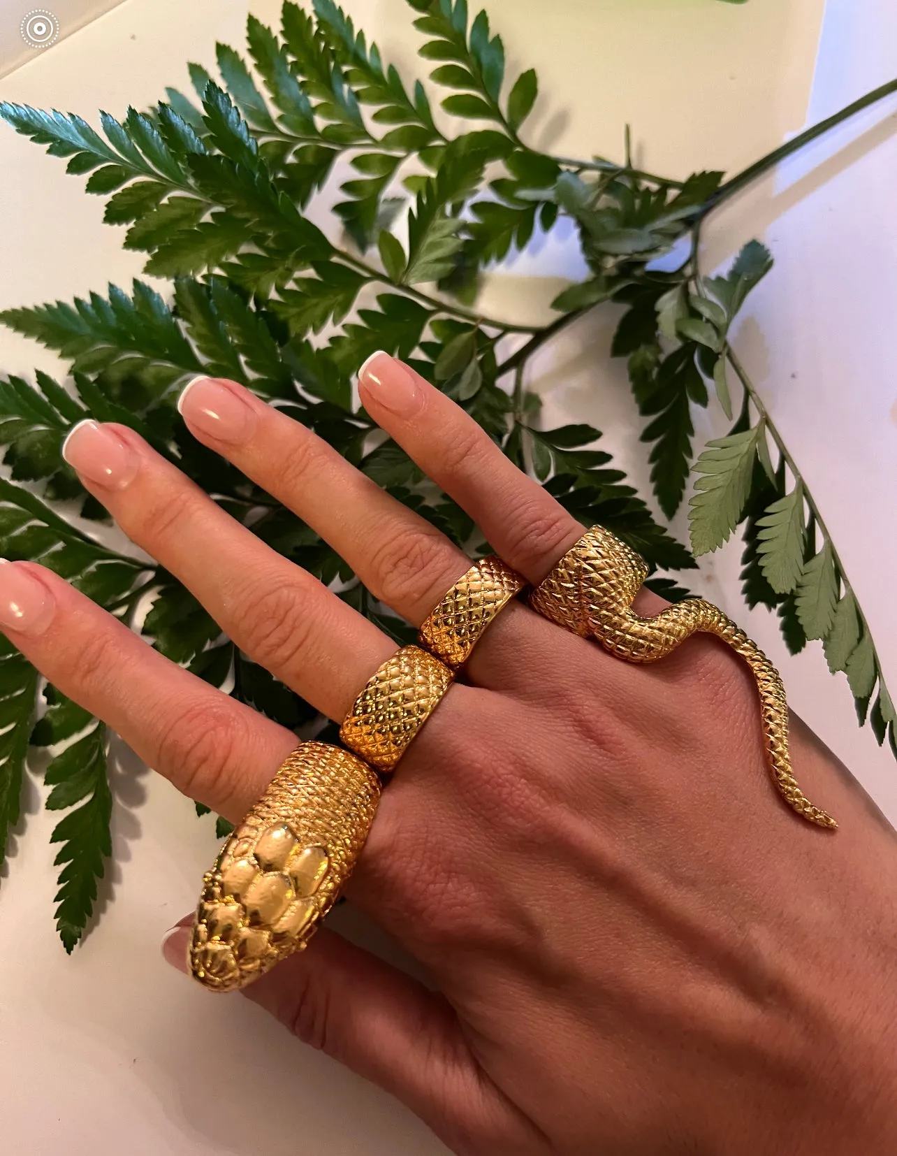 Snake Ring Set